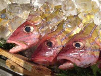 海鮮魚河岸魚魚万 南城市大里店