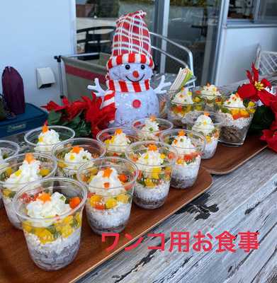 いぬともcafe Wancha