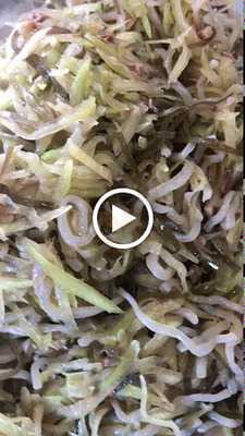 ふうちゃん弁当