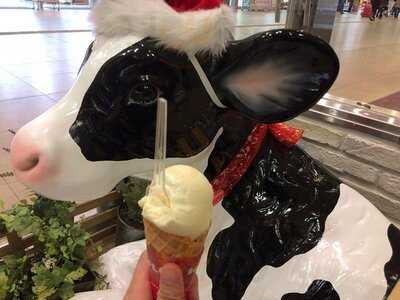 ヤスダヨーグルトショップcocolo南館