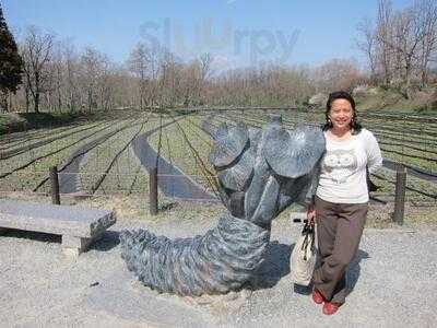 大王わさび農場 レストラン