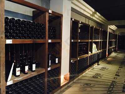 カーブドッチ マルシェ