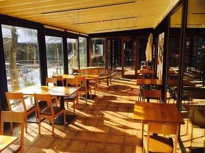 カーブドッチ マルシェ