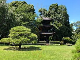 木春堂