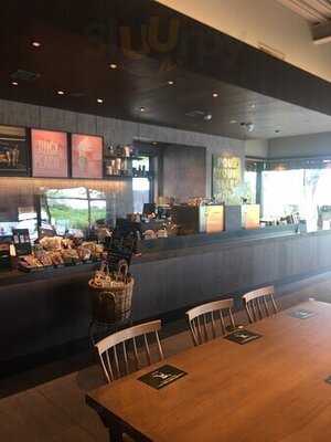 スターバックスコーヒー 新潟紫竹山店