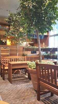 Berry Days Cafe 新潟駅南口店