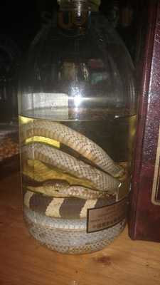 Chez Philippe Fsn Bar