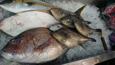 うんめ魚が食いてぇ 駅前漁港本店