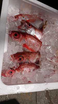 うんめ魚が食いてぇ 駅前漁港本店