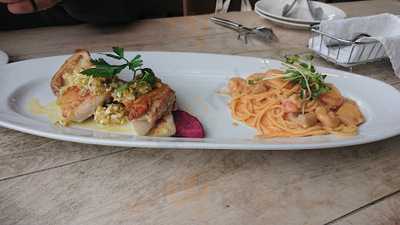 カーブドッチとやの