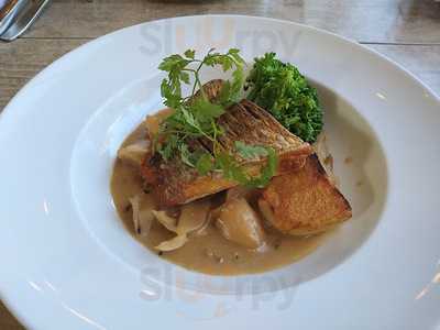 カーブドッチとやの