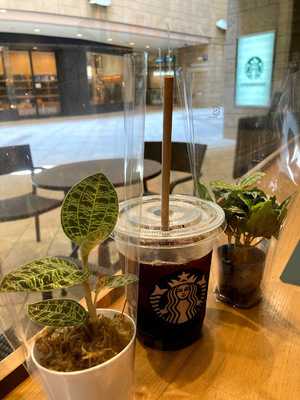 スターバックスコーヒー なんばパークス店