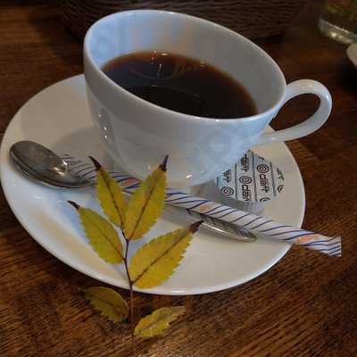 ブルー ファー ツリー