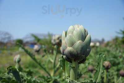 ラ・ファットリア