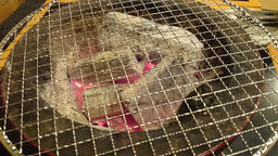 炭火焼肉 かっぱ