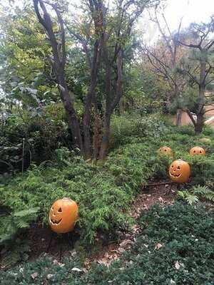 ガンボ＆オイスターバー なんばパークス店