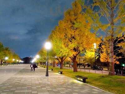 モリタ屋 東京丸の内店