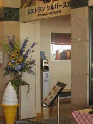 シルバースカイ