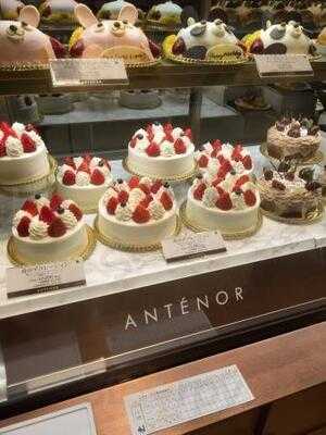 アンテノール 阪神百貨店