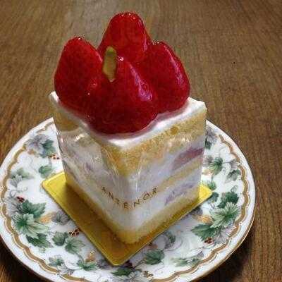 アンテノール 阪神百貨店