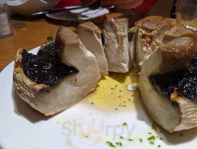 マッシュルームトーキョー