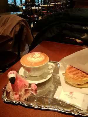 アンティコカフェアルアビス アトレ恵比寿店