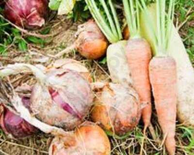 アマークドパラディ