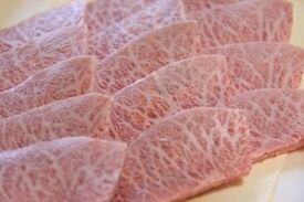 はやしや 食堂