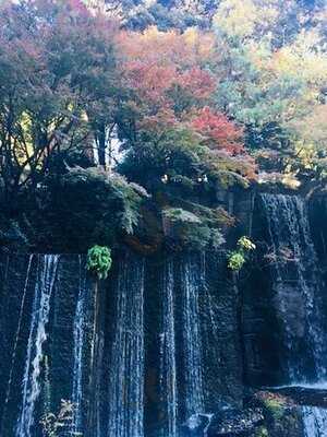 ステーキハウス ハマ目黒店