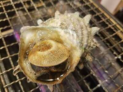 磯丸水産　新世界ジャンジャン横丁店