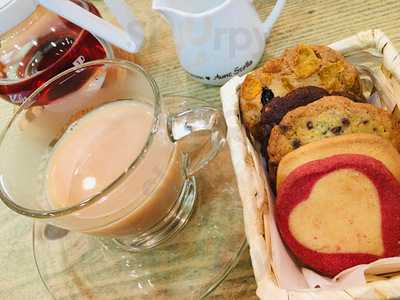 アントステラ 新潟店