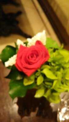 サバティーニディフィレンツェ 大丸東京店