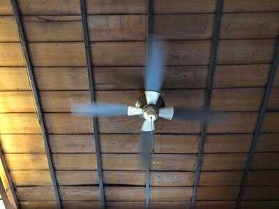 カフェ フロッシュ