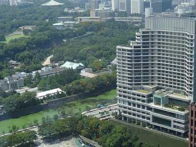 家全七福酒家 Seventh Son 丸ビル店