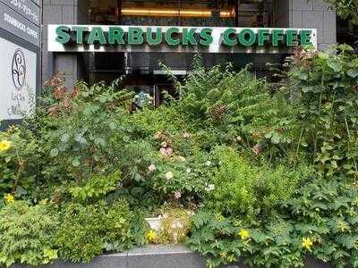 スターバックスコーヒー 谷町筋nsビル店