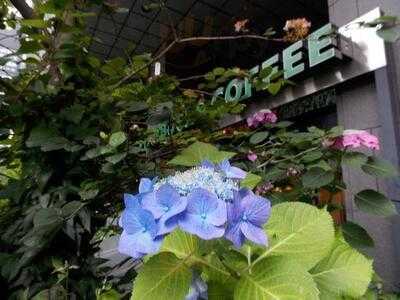 スターバックスコーヒー 谷町筋nsビル店