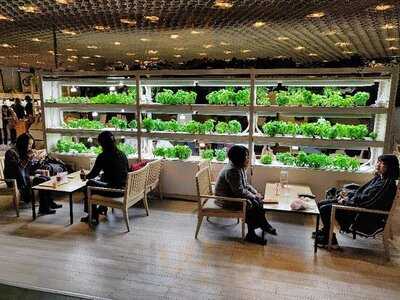 ブルックス カフェ 原宿店