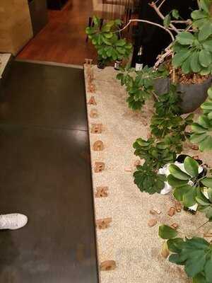 ウルトラチョップ 京都先斗町店