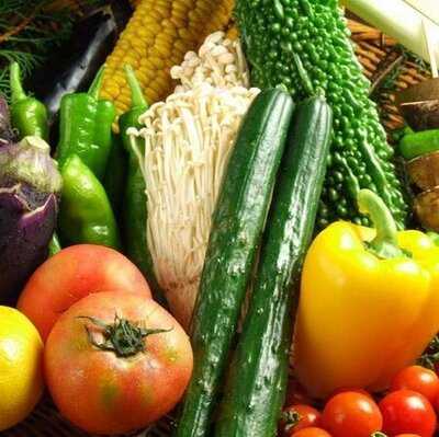 炉ばた焼 たぬき茶屋