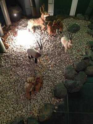 小肥羊 心斎橋店