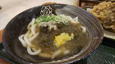 はなまるうどん イオンモール新潟南店