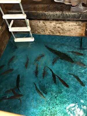 釣船茶屋ざうお 渋谷店