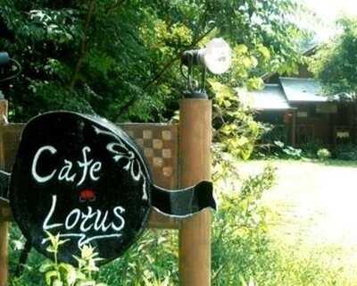 カフェ ロータス