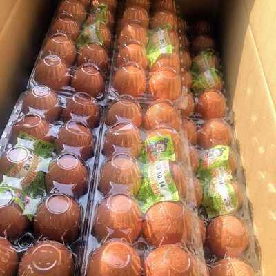 赤から　新潟新和店