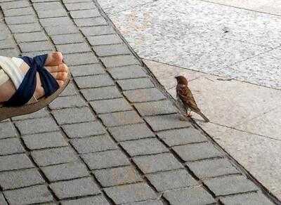 スターバックスコーヒー 恵比寿ガーデンプレイス店