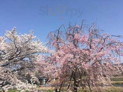 セカンドハウス 出町店
