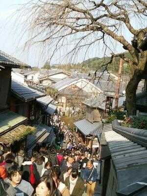 洋食の店 みしな