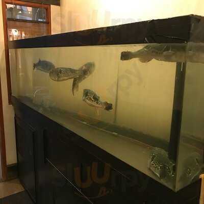 七ふく神 東心斎橋店