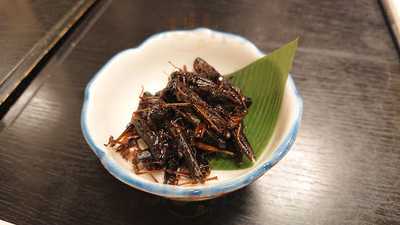 奥阿賀の隠れ座敷 山姥