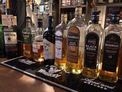 シャムロックンロールスター